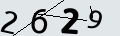 verifycode